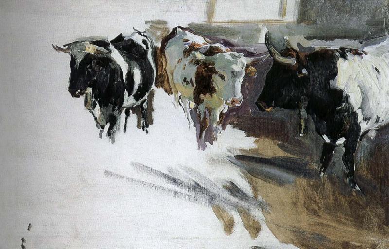 Joaquin Sorolla Bull Project oil painting image